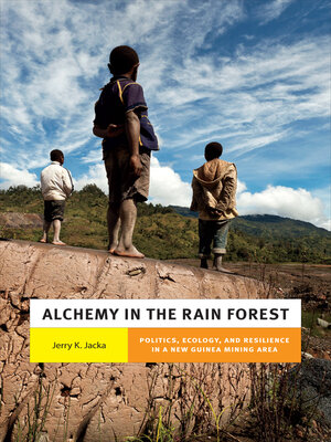 cover image of Alchemy in the Rain Forest